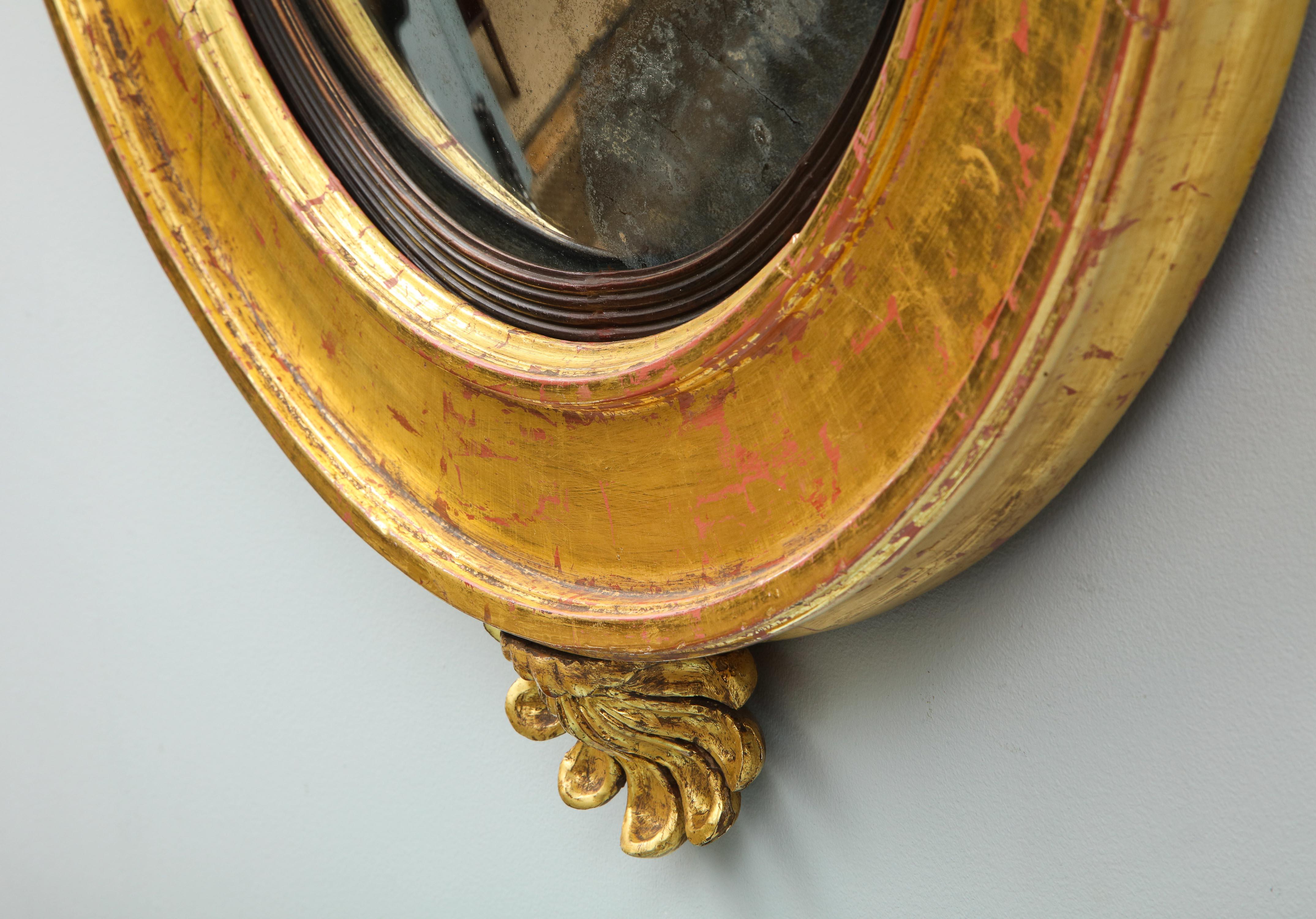 English Regency Shell Carved Convex Mirror 5