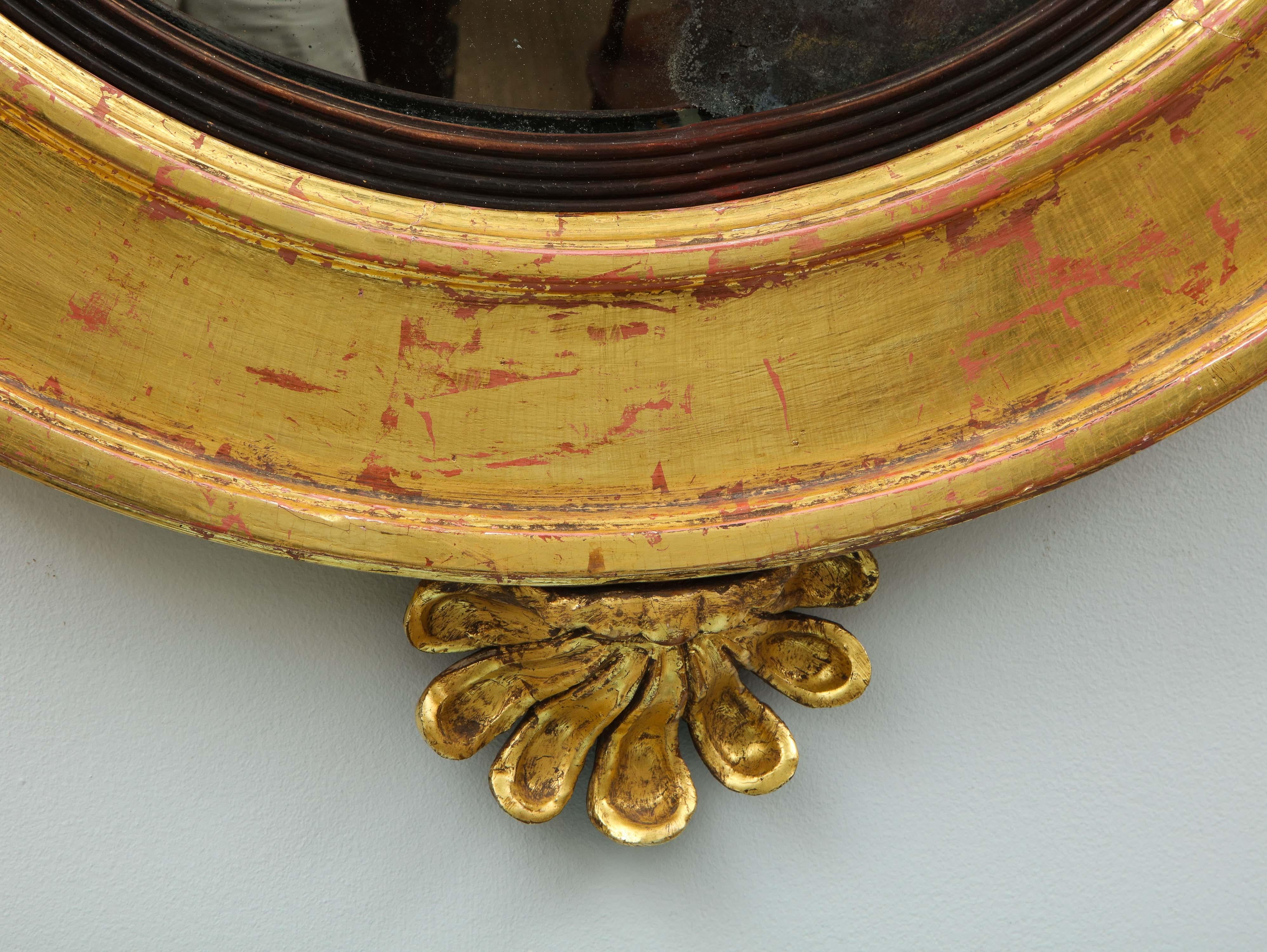 19th Century English Regency Shell Carved Convex Mirror