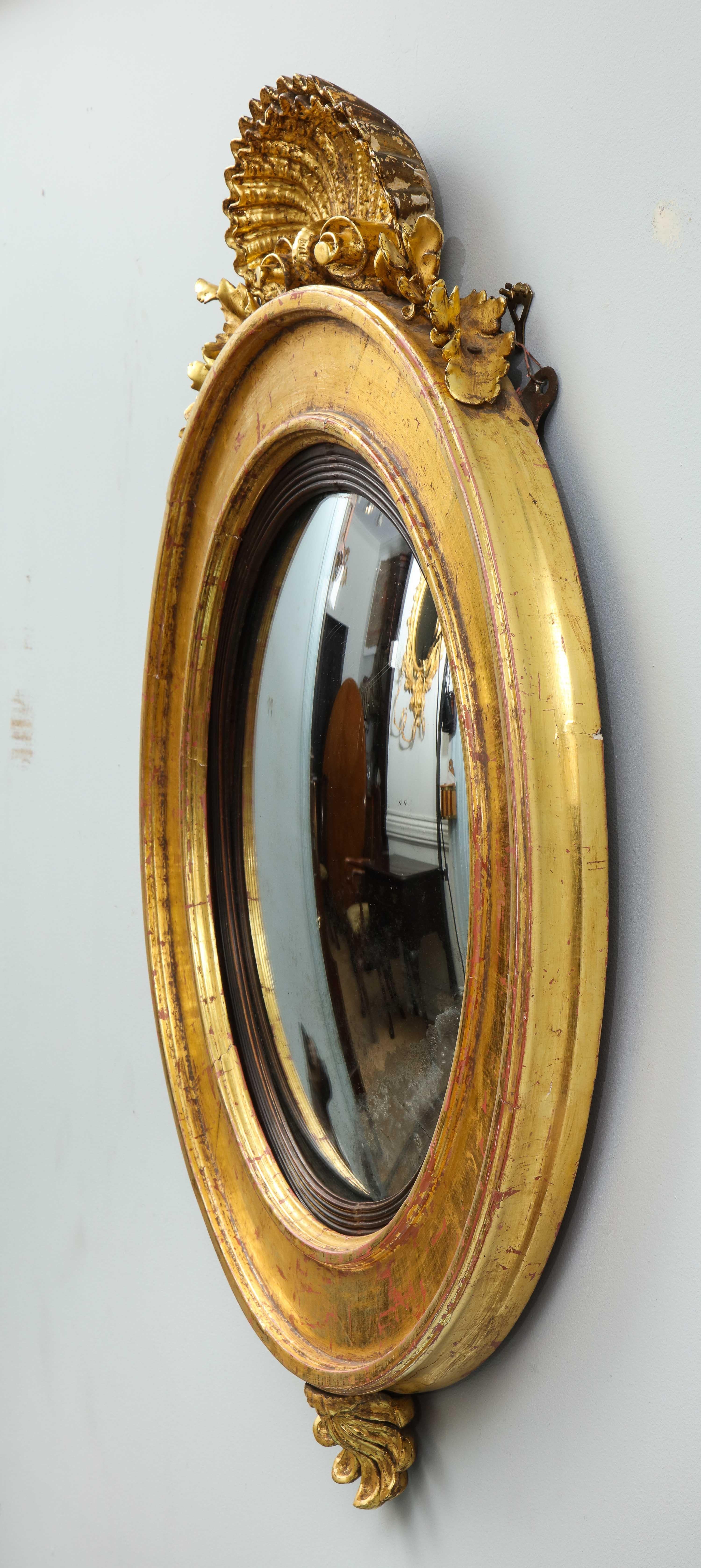 English Regency Shell Carved Convex Mirror 4