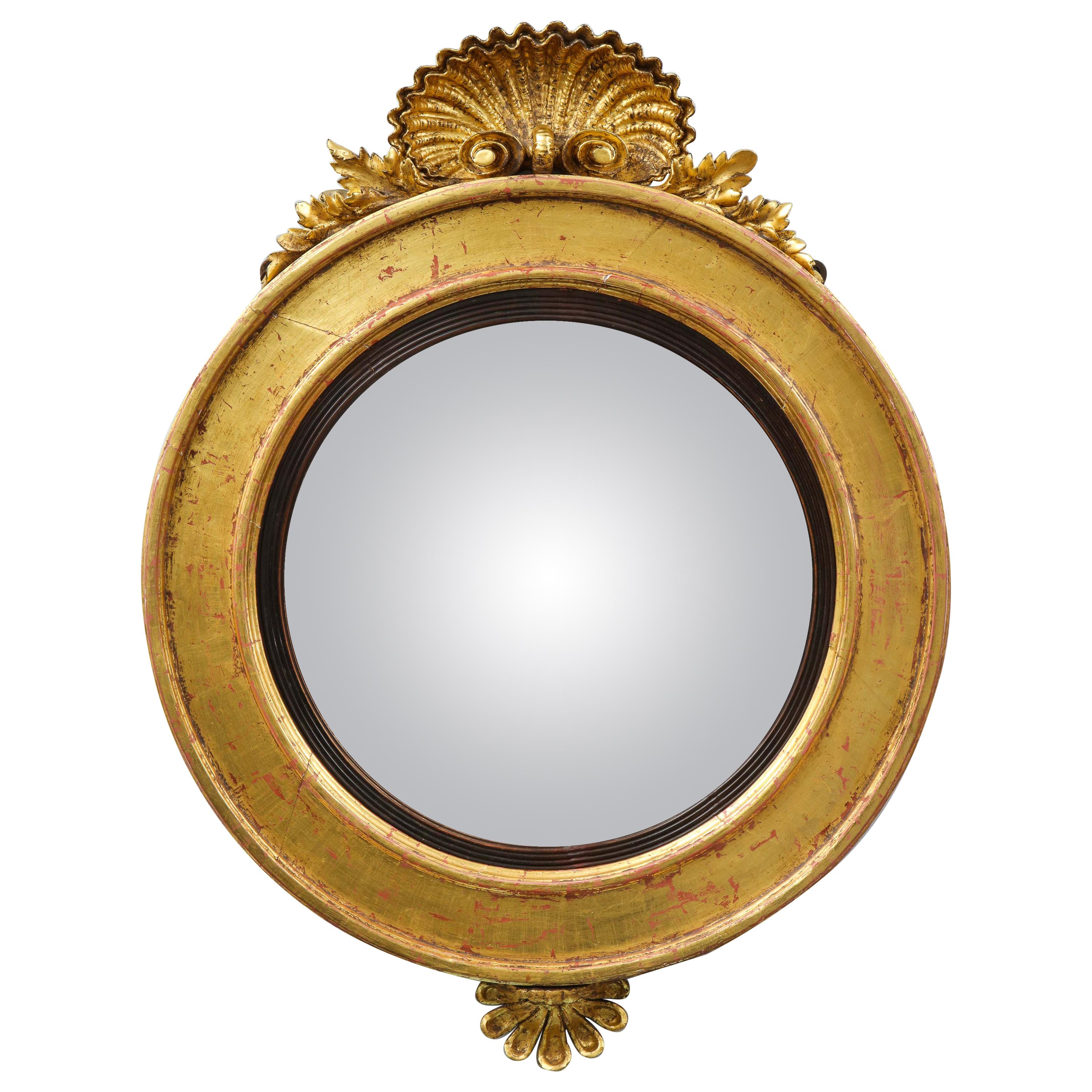 English Regency Shell Carved Convex Mirror