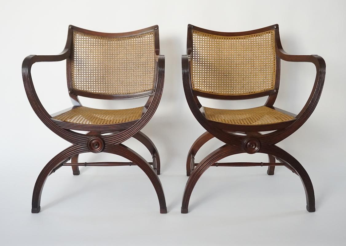 English Regency Style Mahogany and Cane Curule Form Armchairs 5