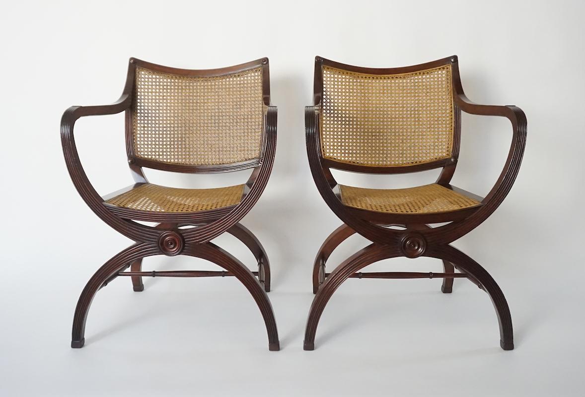 Elegant pair of English Regency style Thomas Hope influenced armchairs of Curule form having carved solid mahogany frames with caned backs and seats.

Additional search terms:  Neoclassical, classical, Roman, Grecian, Greek Revival, Georgian,