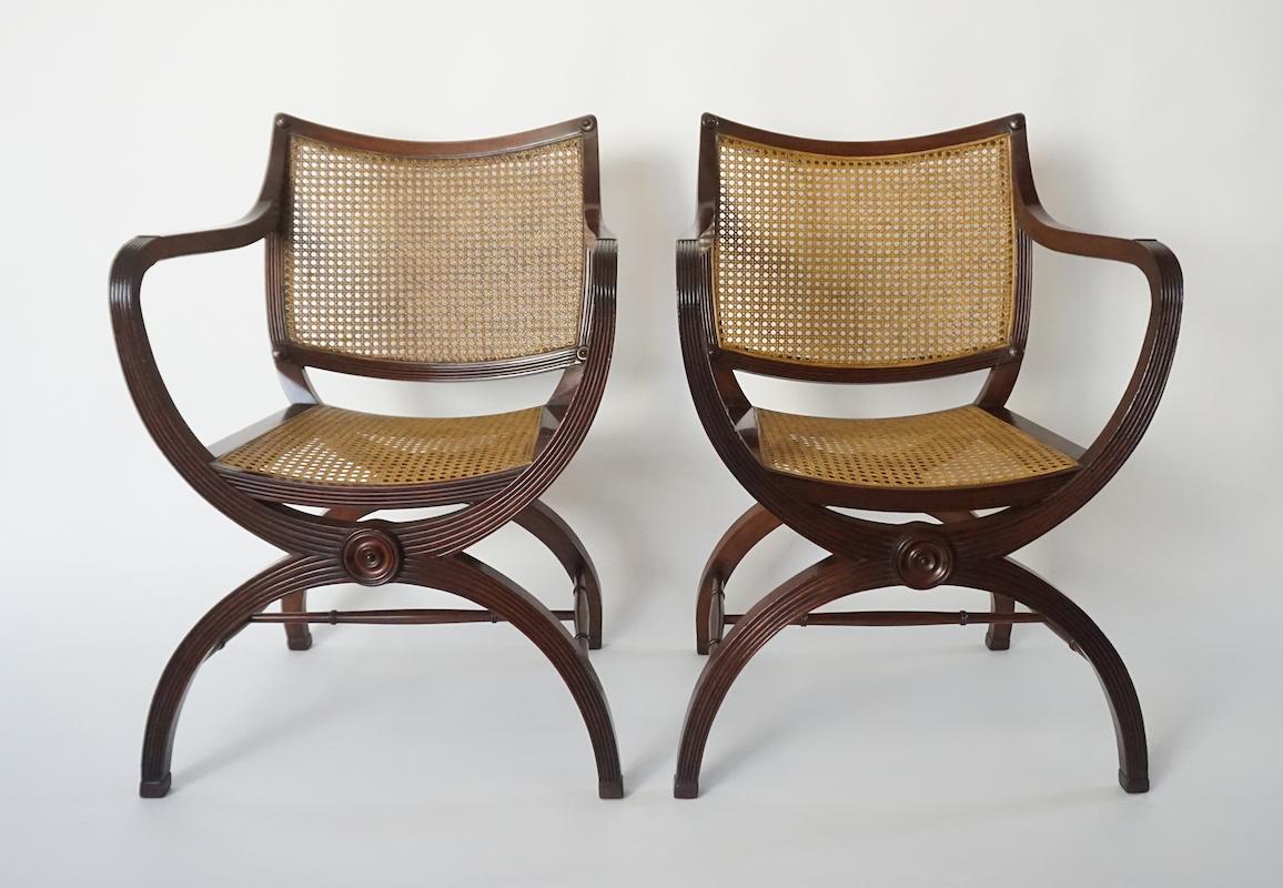 English Regency Style Mahogany and Cane Curule Form Armchairs In Good Condition In Kinderhook, NY