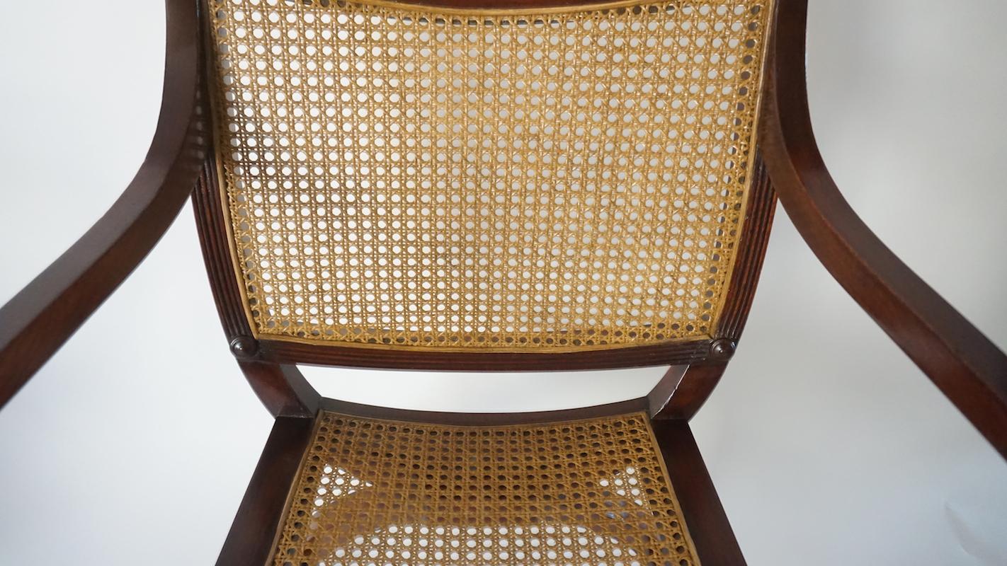 20th Century English Regency Style Mahogany and Cane Curule Form Armchairs