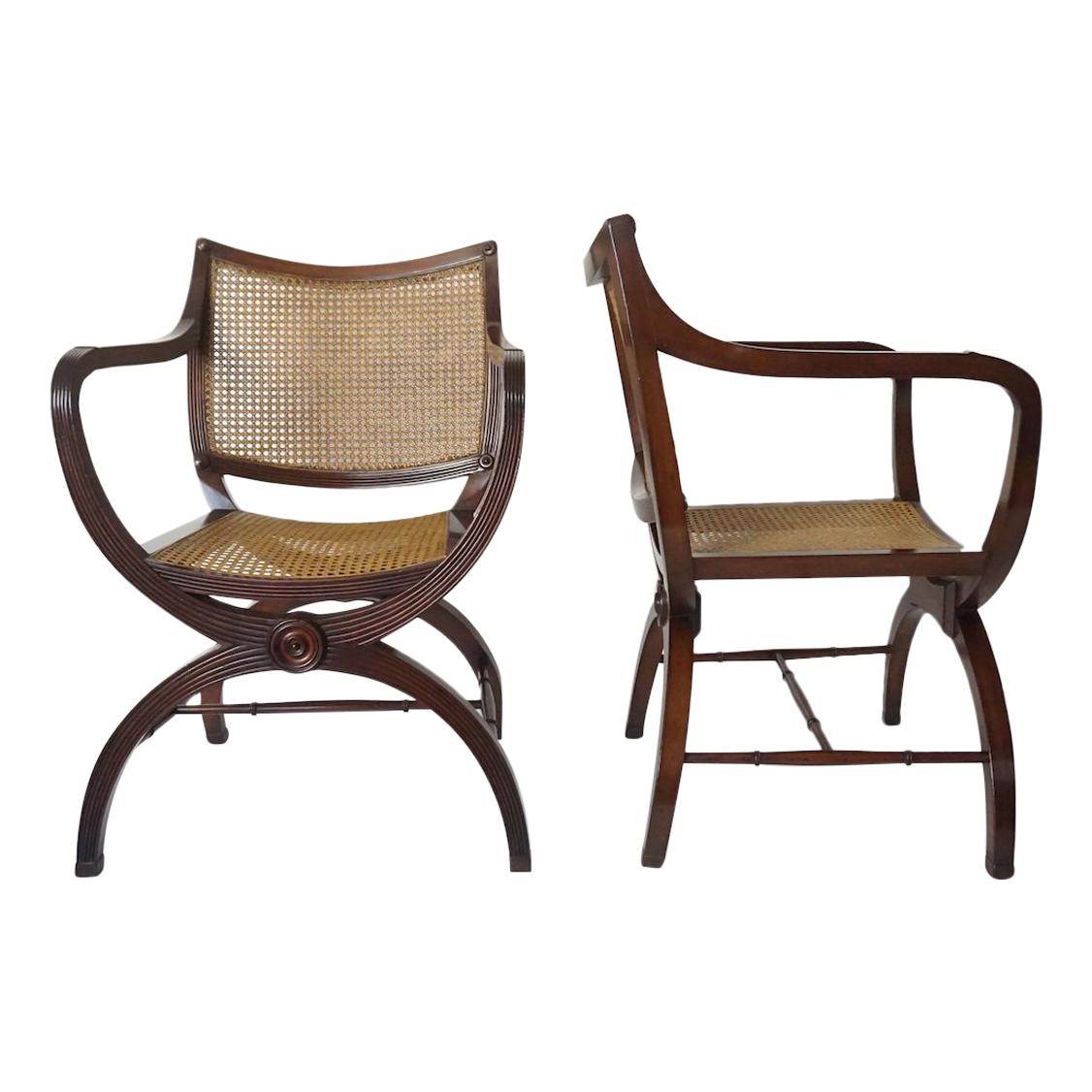 English Regency Style Mahogany and Cane Curule Form Armchairs