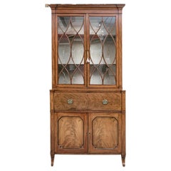 English Regency Style Mahogany Bookcase Cabinet In Two Parts