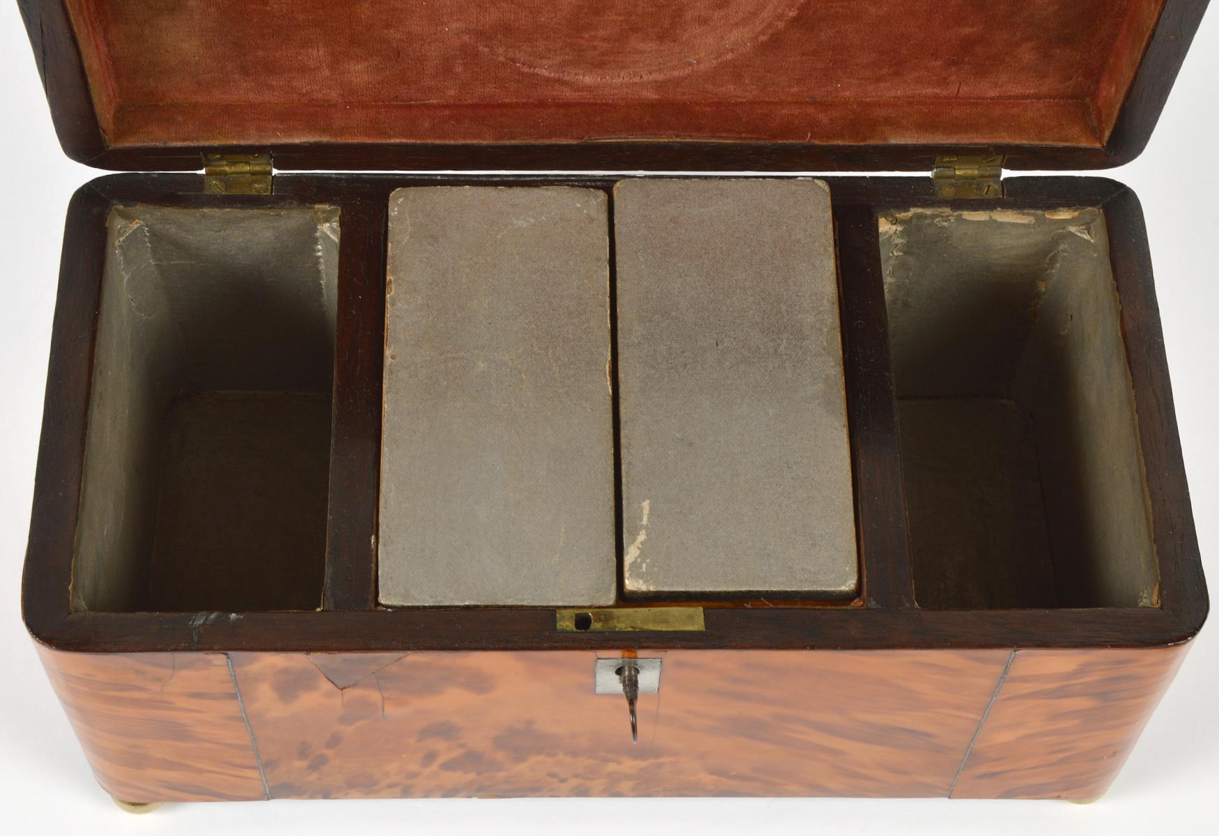 English Regency Style Tortoise Shell Tea Caddy with Original Interior 7
