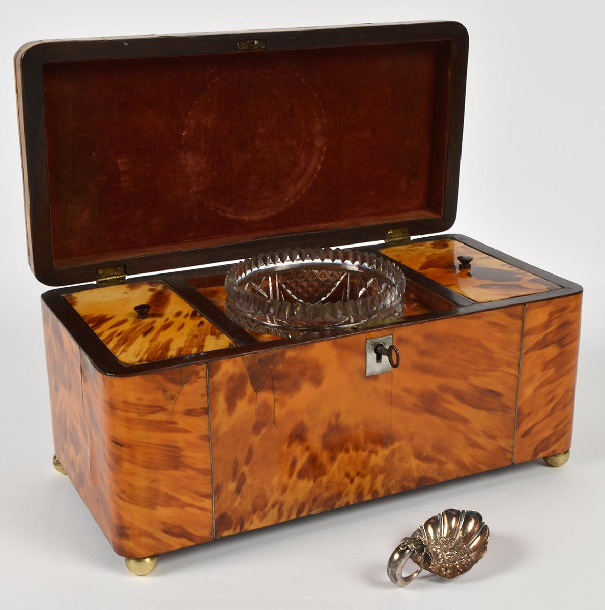 English Regency Style Tortoise Shell Tea Caddy with Original Interior In Good Condition In Ft. Lauderdale, FL