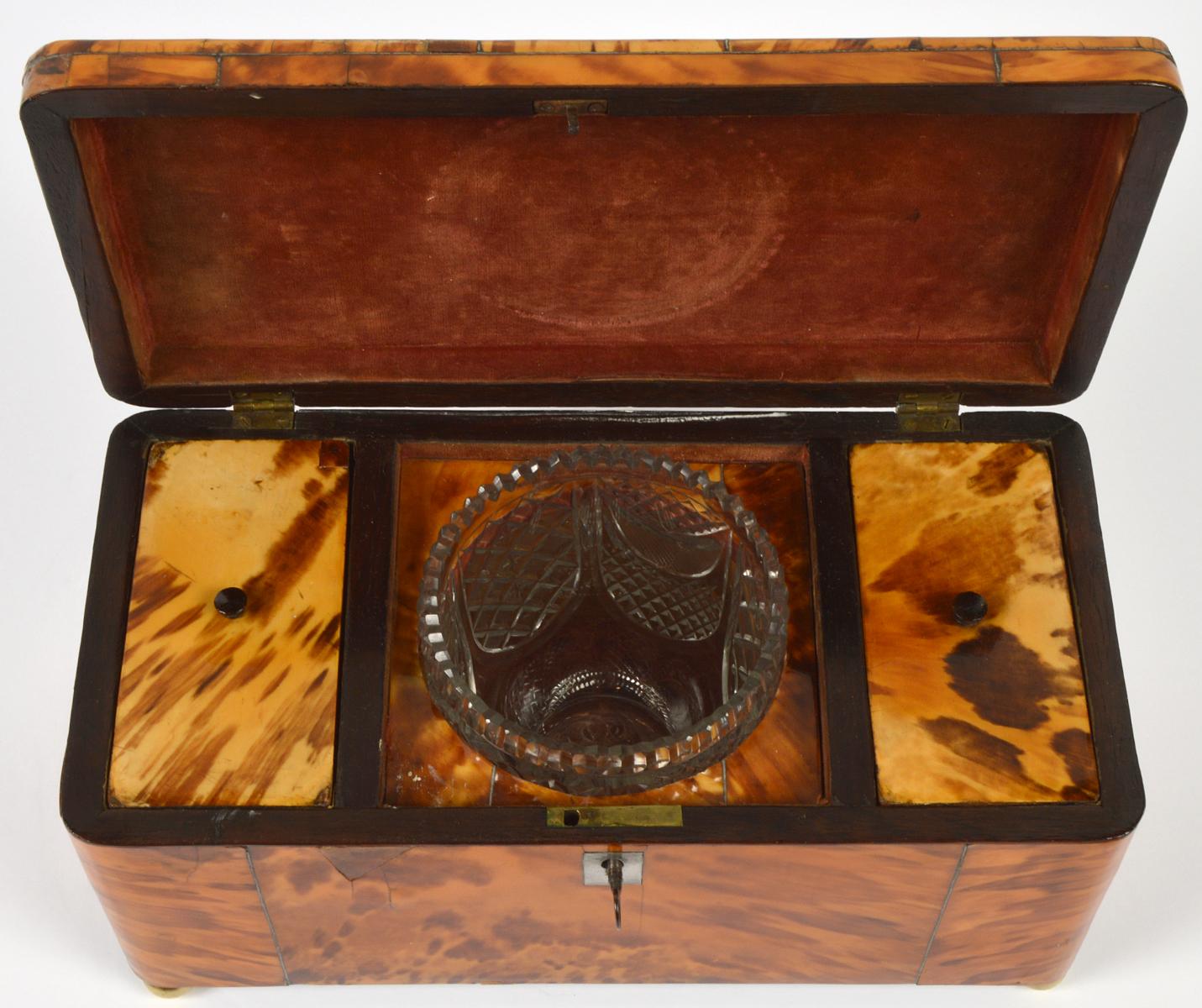 19th Century English Regency Style Tortoise Shell Tea Caddy with Original Interior