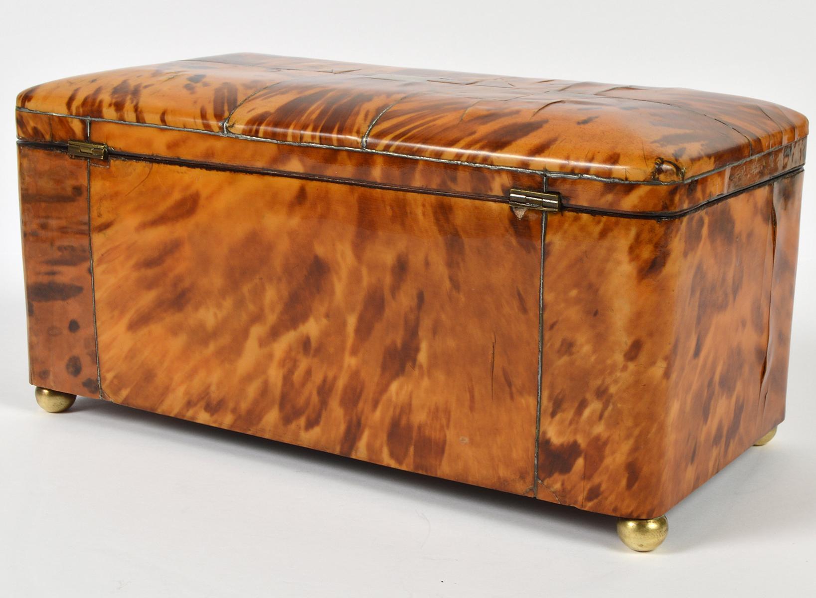 Brass English Regency Style Tortoise Shell Tea Caddy with Original Interior