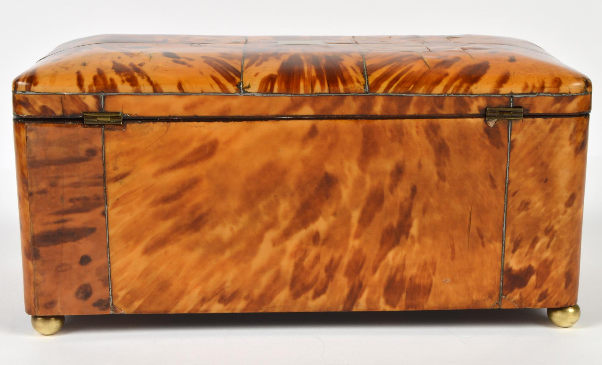 English Regency Style Tortoise Shell Tea Caddy with Original Interior 1