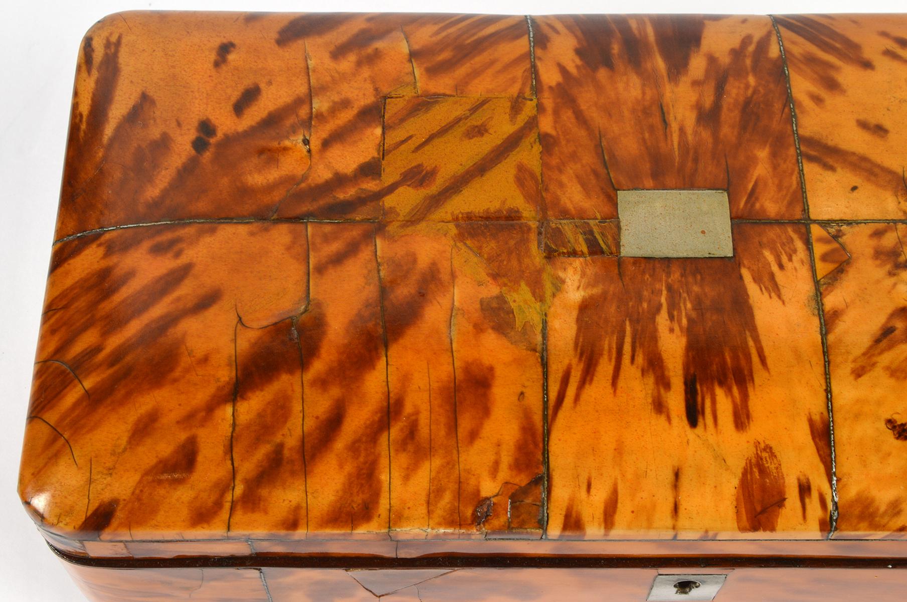 English Regency Style Tortoise Shell Tea Caddy with Original Interior 4