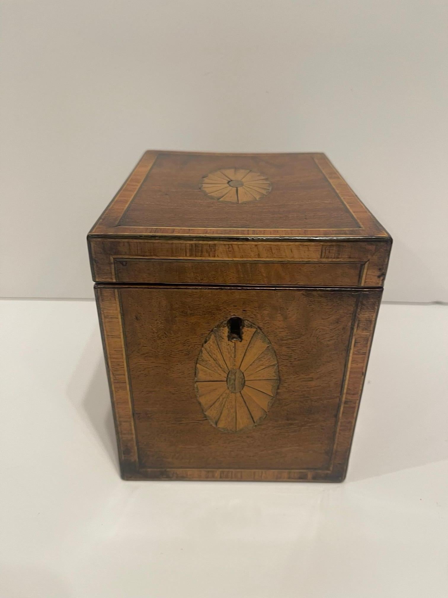 English Regency Tea Caddy with Inlay and Interior Lid, 19th Century In Good Condition For Sale In Savannah, GA