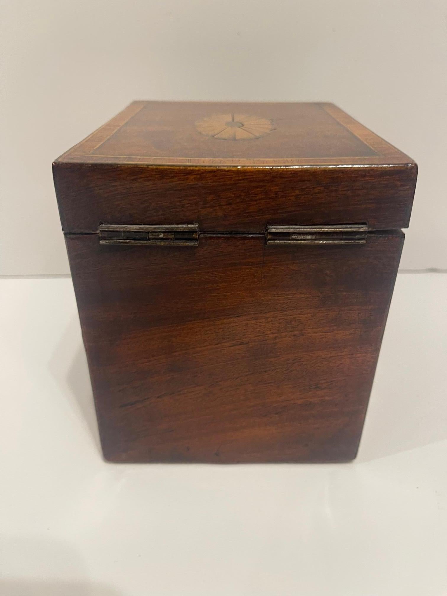 English Regency Tea Caddy with Inlay and Interior Lid, 19th Century For Sale 2