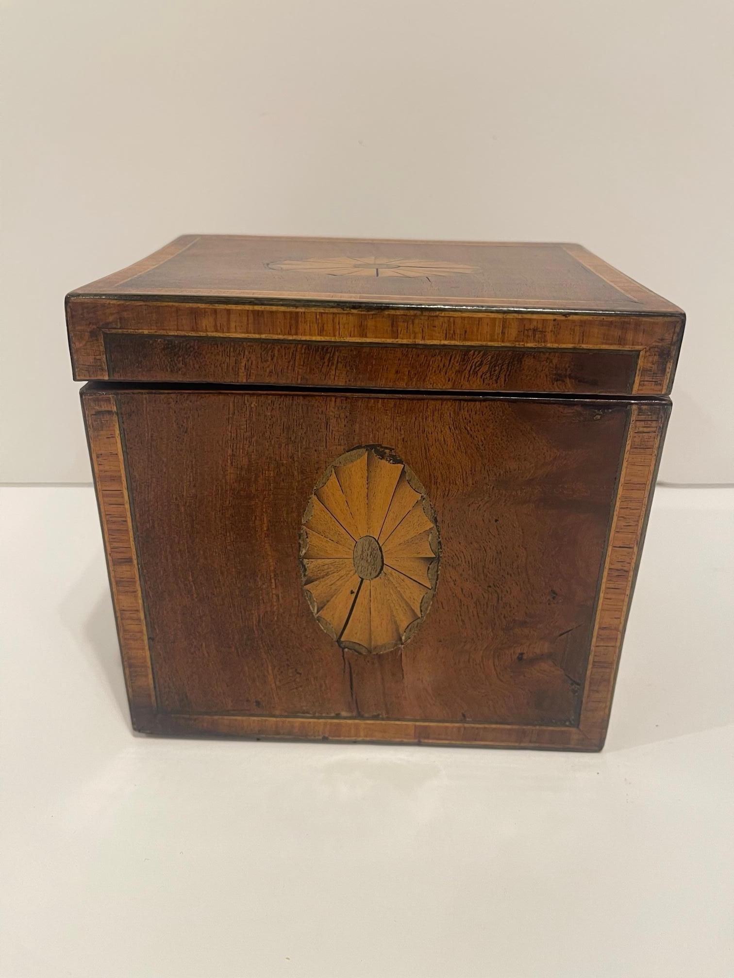 English Regency Tea Caddy with Inlay and Interior Lid, 19th Century For Sale 3