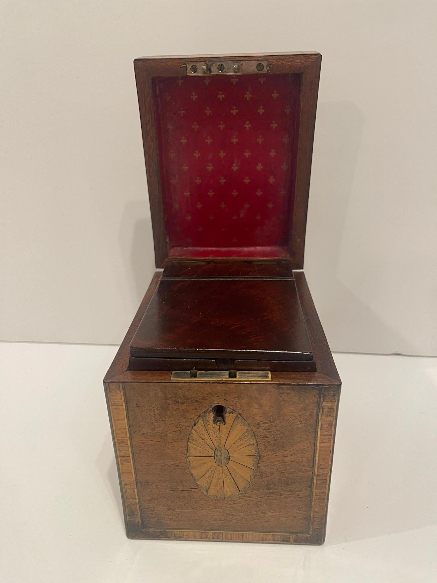 English Regency Tea Caddy with Inlay and Interior Lid, 19th Century For Sale 4