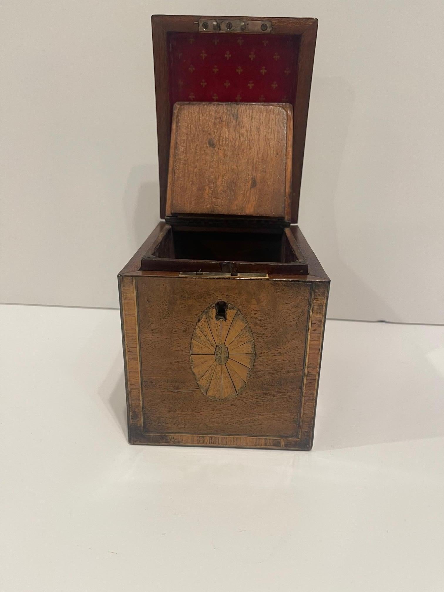 English Regency Tea Caddy with Inlay and Interior Lid, 19th Century For Sale 6