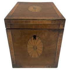 English Regency Tea Caddy with Inlay and Interior Lid, 19th Century