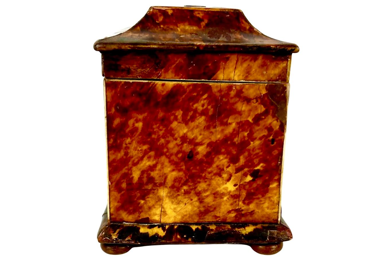 English Regency Tortoise Shell Tea Caddy, 19th Century In Fair Condition For Sale In Bradenton, FL