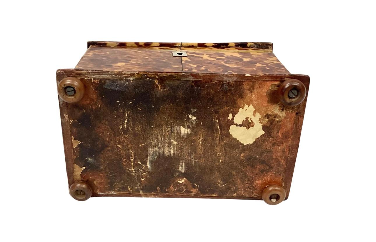 English Regency Tortoise Shell Tea Caddy, 19th Century For Sale 2