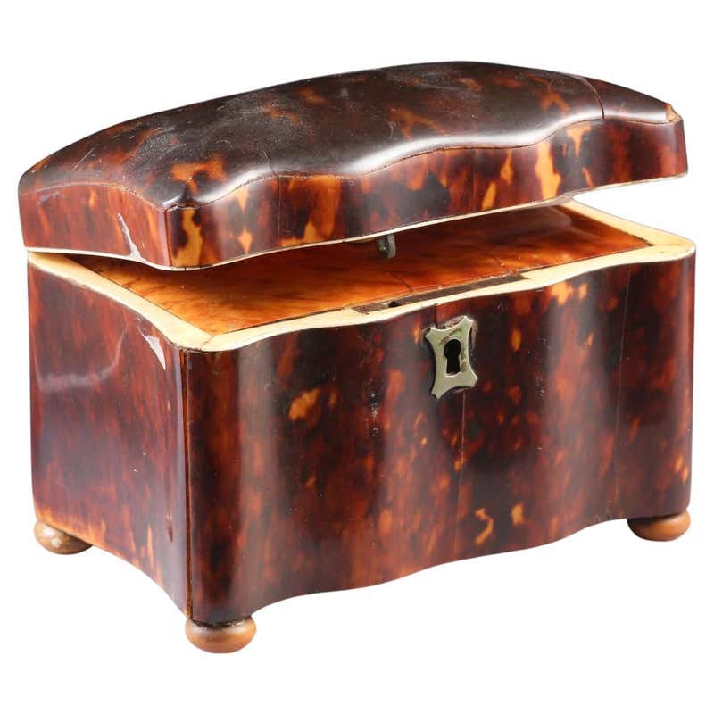 Early 19th Century Faux Tortoise Shell Inlaid Box For Sale at 1stDibs ...