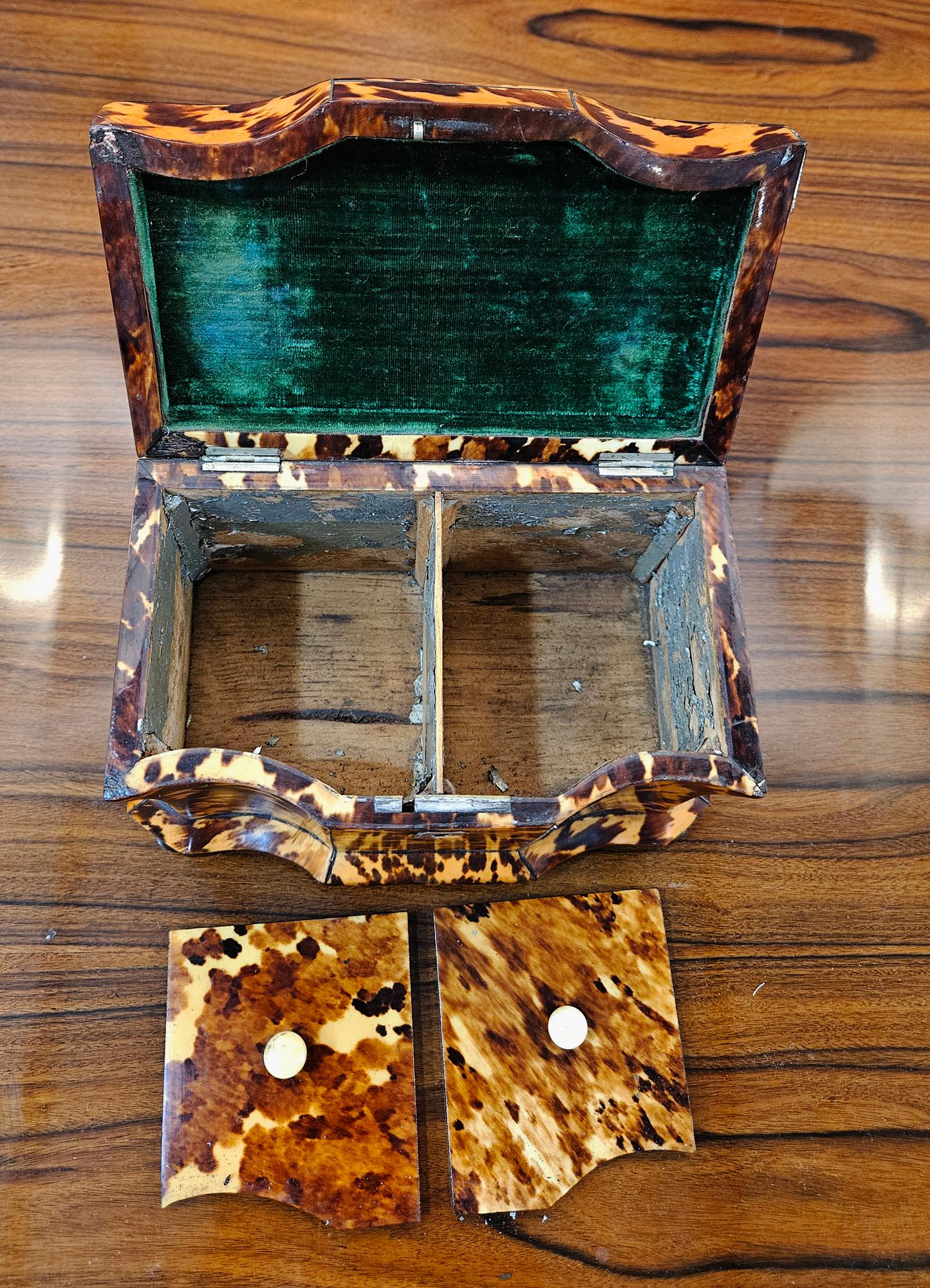 English Regency Tortoiseshell Double Tea Caddy 9