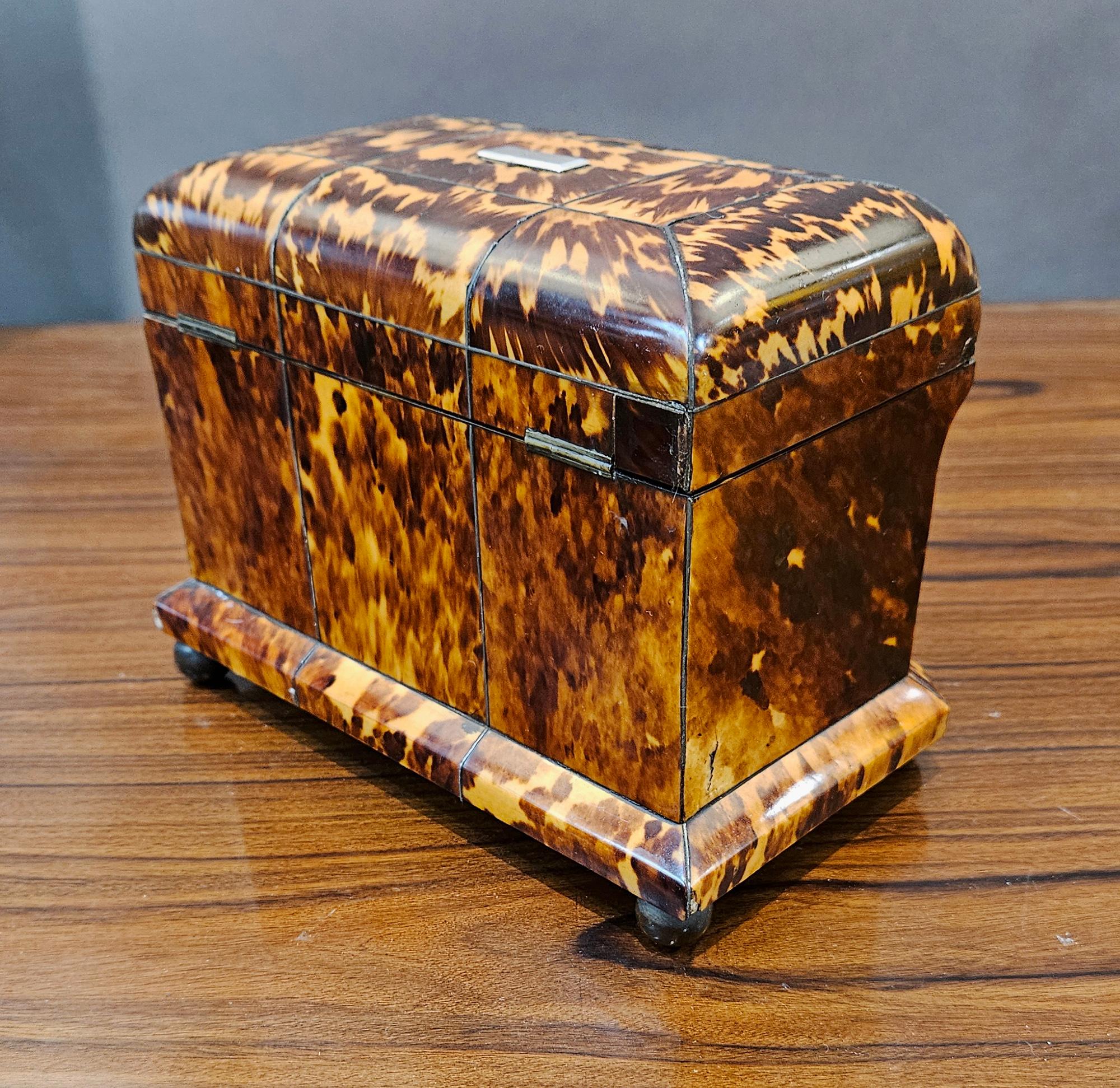 English Regency Tortoiseshell Double Tea Caddy 14