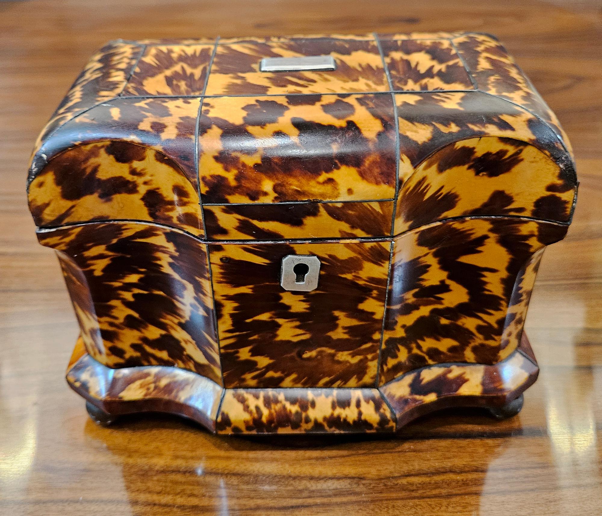Regency Tortoiseshell Tea Caddy,
Circa 1810

The Tortoiseshell tea caddy is of rectangular form with a rectangular body and is raised on its original ball feet.

The interior of the tea caddy contains a green velvet fabric lining the lid and two