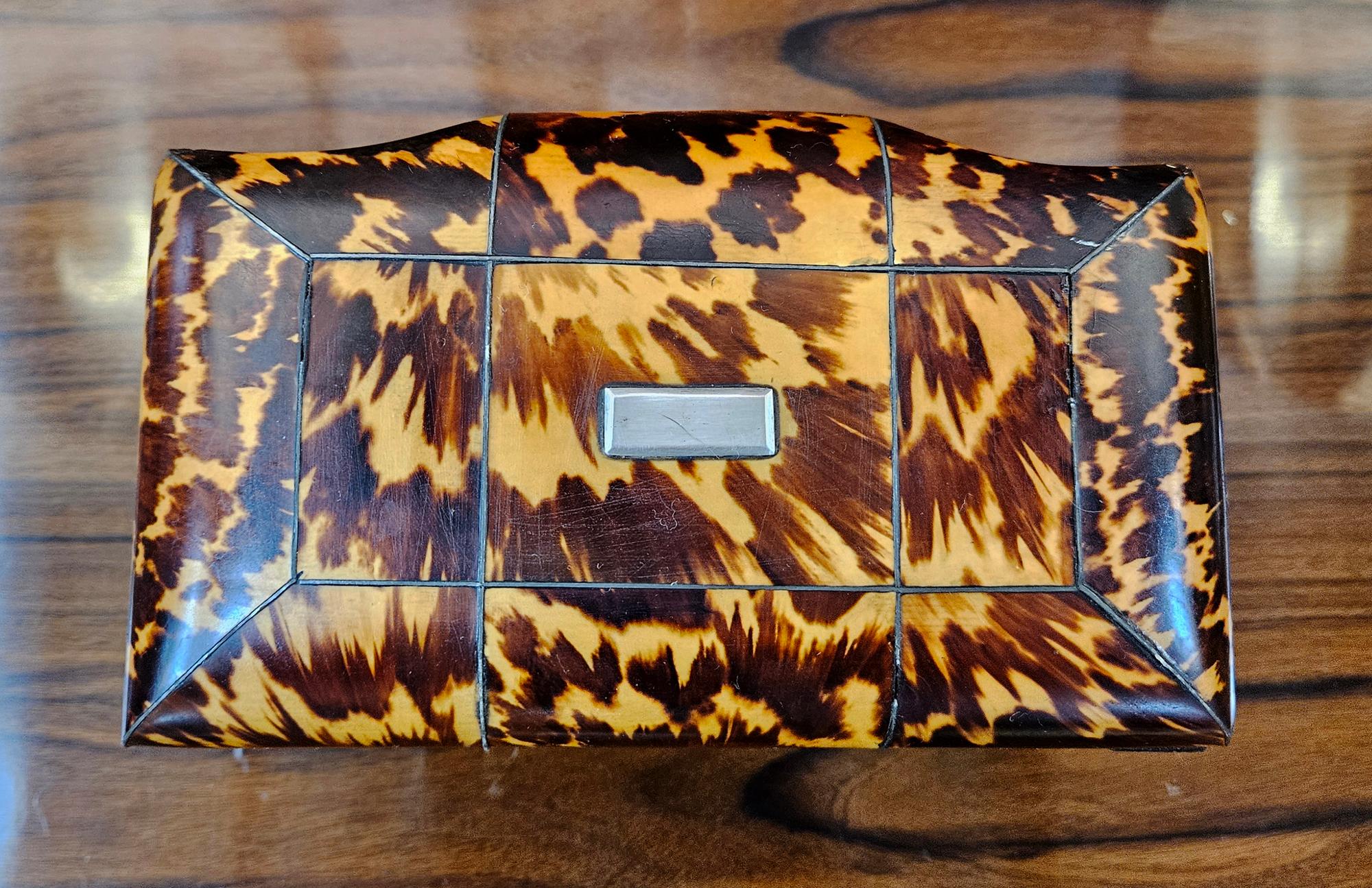 English Regency Tortoiseshell Double Tea Caddy 16