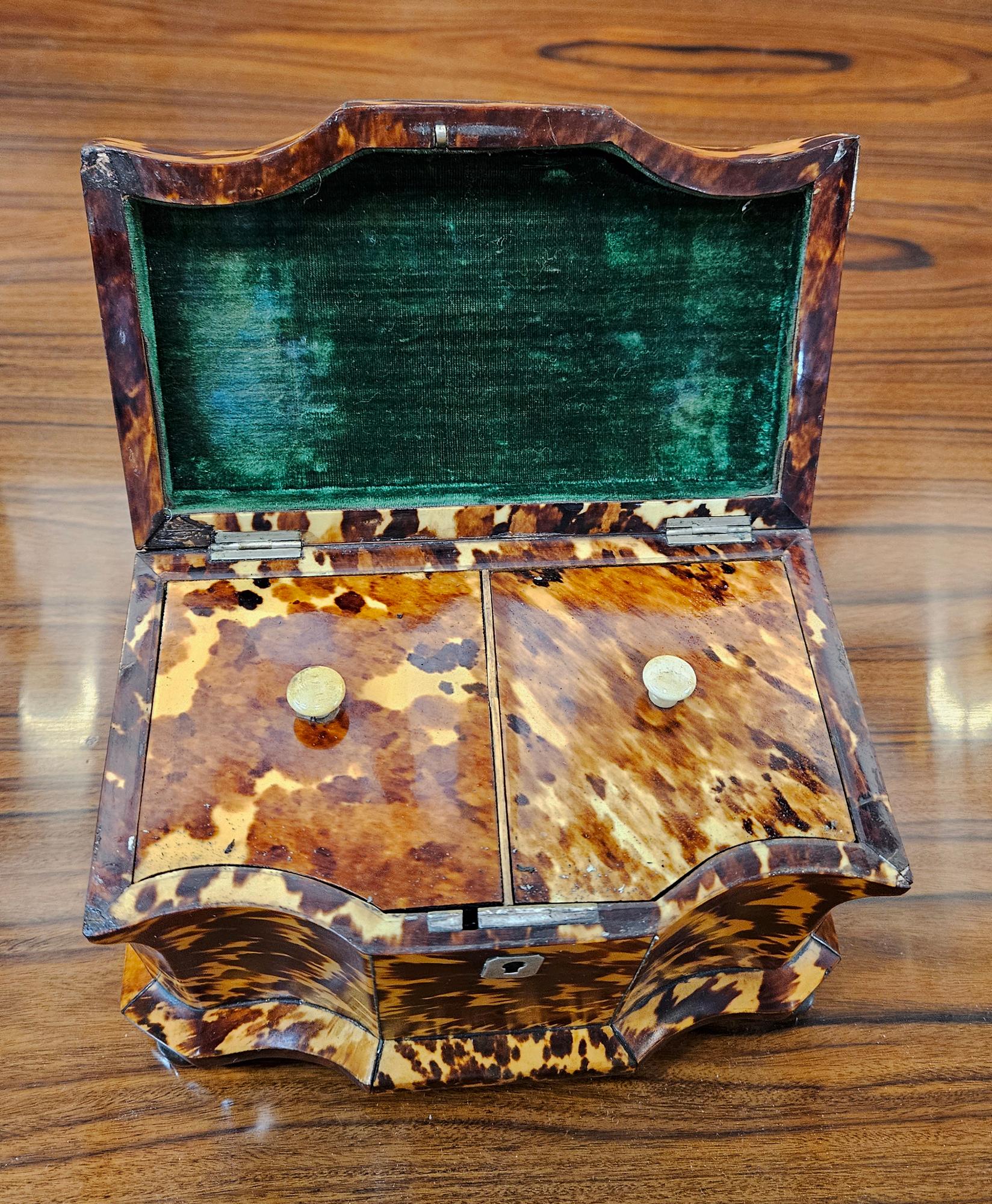 English Regency Tortoiseshell Double Tea Caddy In Good Condition In Downingtown, PA
