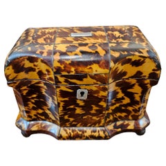 English Regency Tortoiseshell Double Tea Caddy