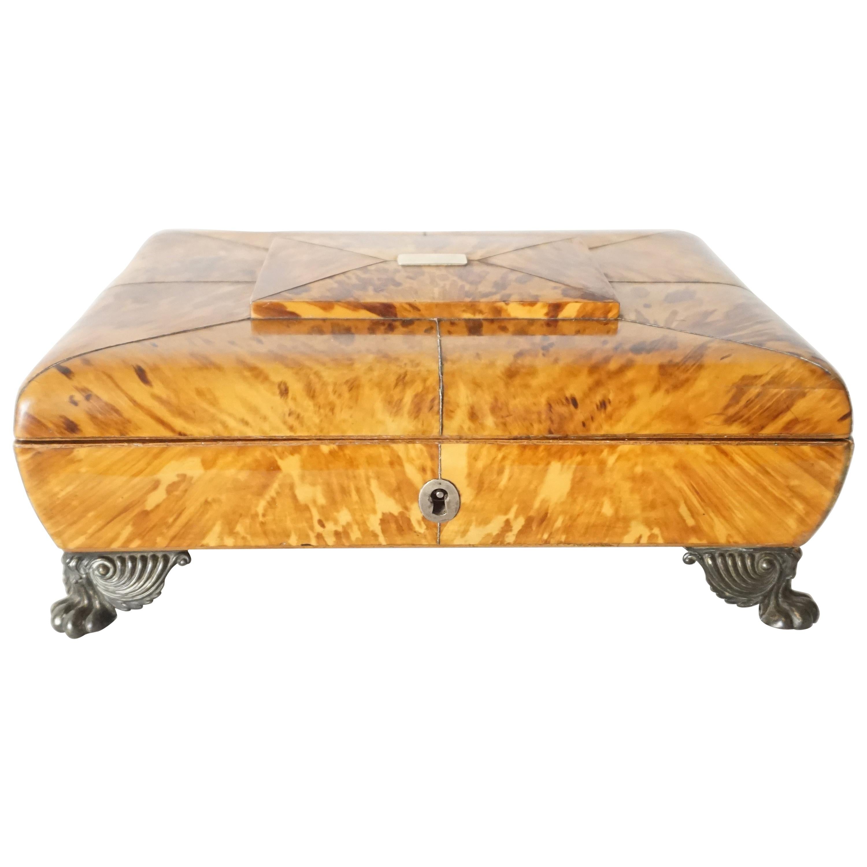 English Regency Tortoiseshell Necessaire Tabletop Toiletry Box, circa 1810