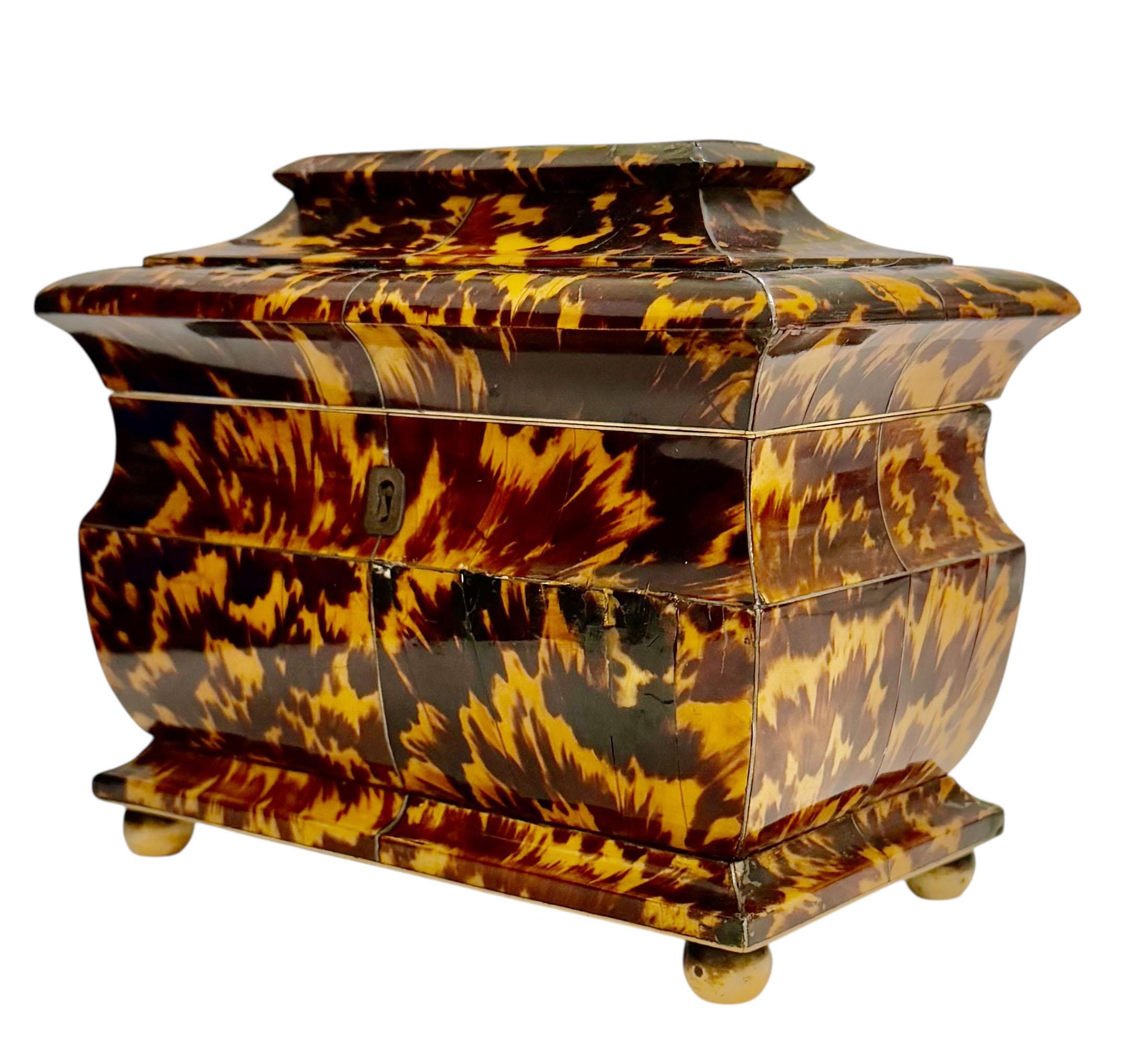 Early 19th Century English Regency Tortoiseshell Pagoda Form Tea Caddy For Sale