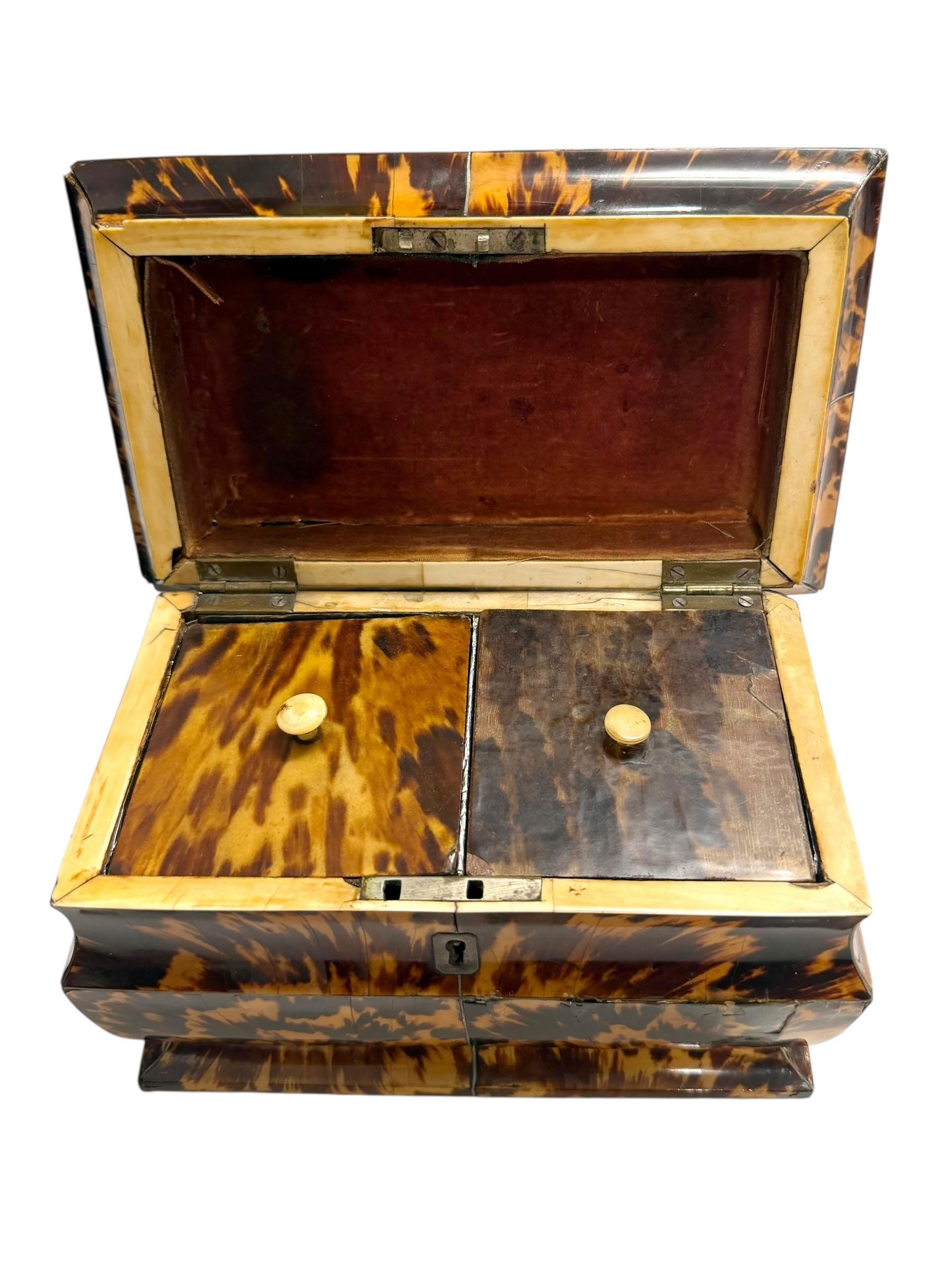 English Regency Tortoiseshell Pagoda Form Tea Caddy For Sale 2