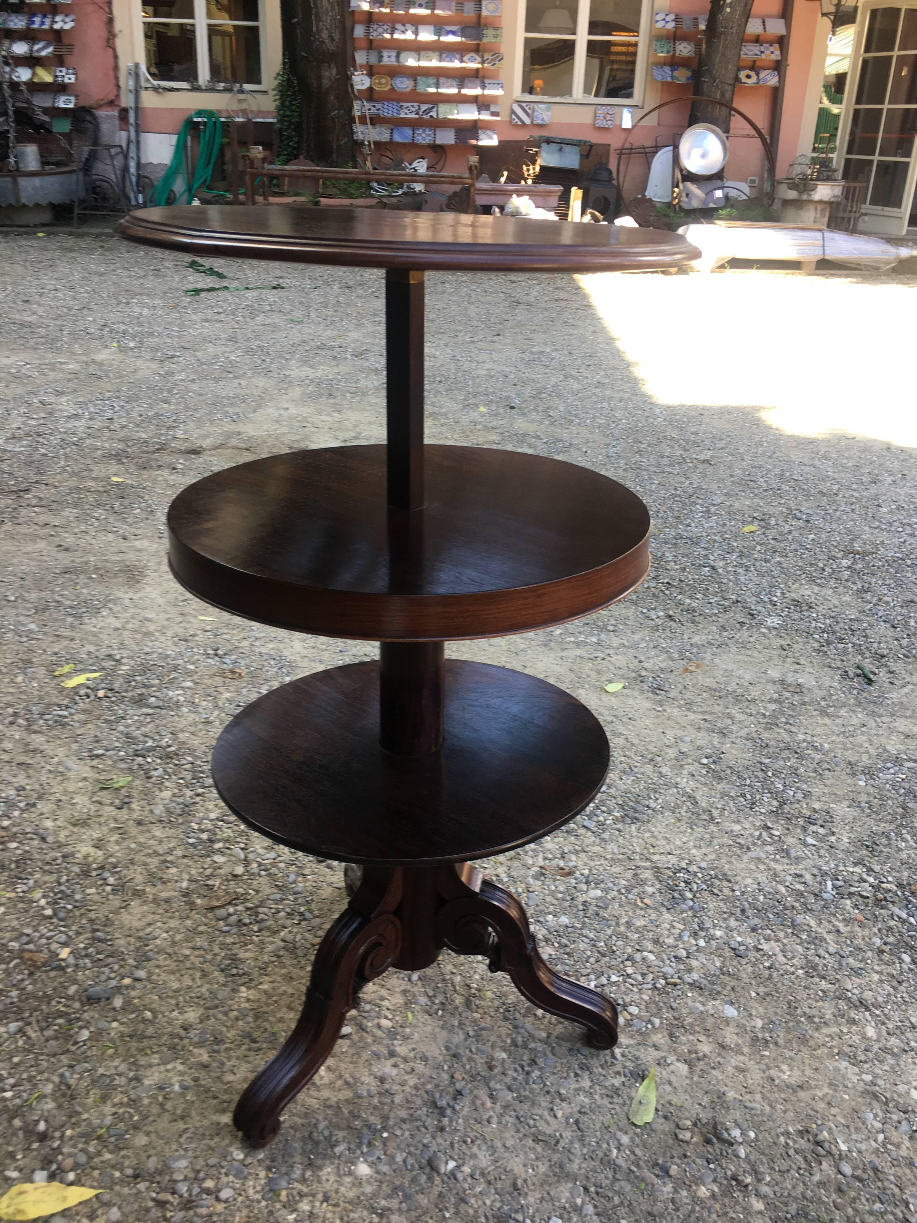 English Rosewood Adjustable Round Etagere or Shelves from 1850s For Sale 3