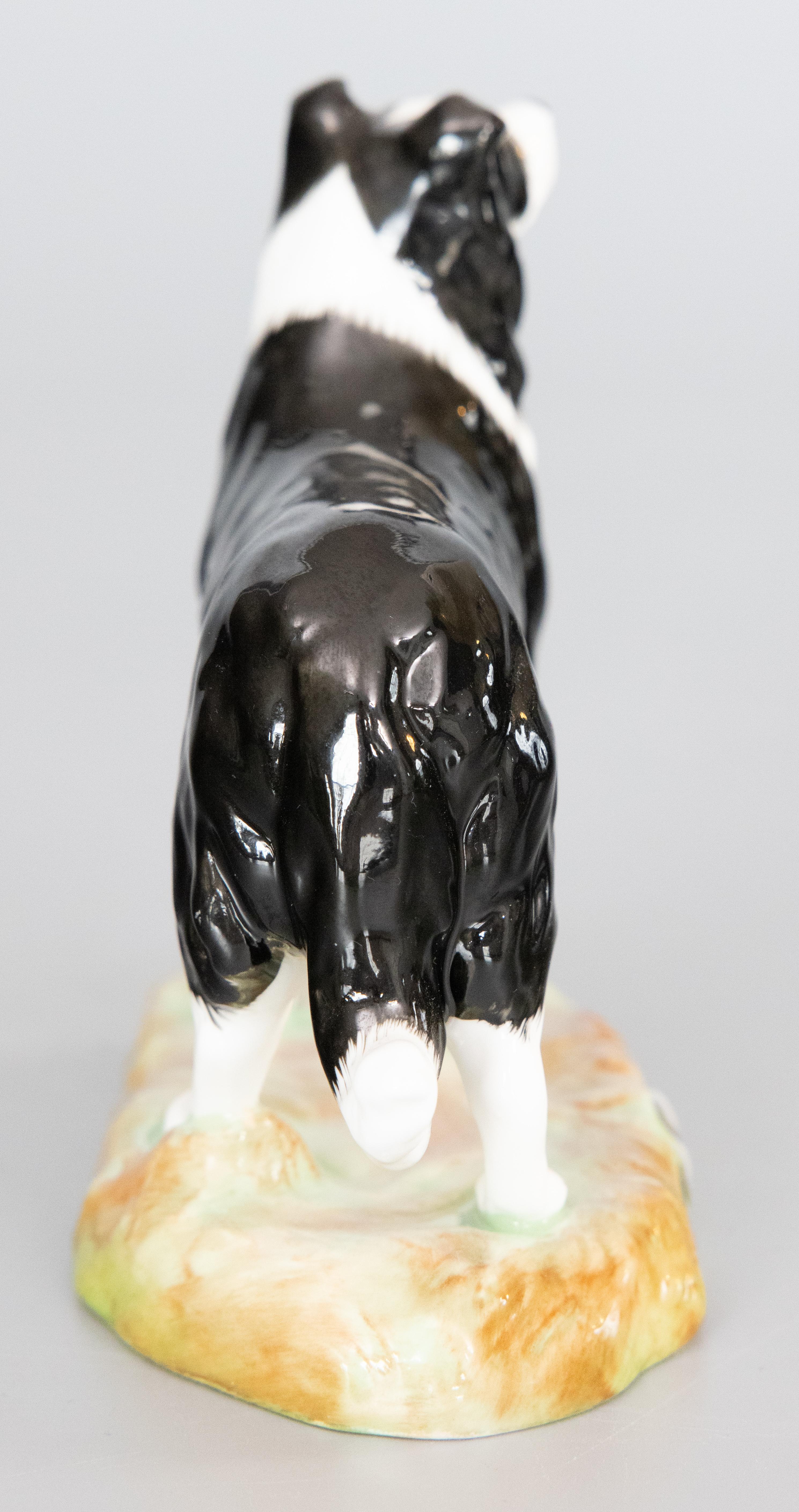 20th Century English Royale Stratford Staffordshire Porcelain Border Collie Dog Figurine  For Sale