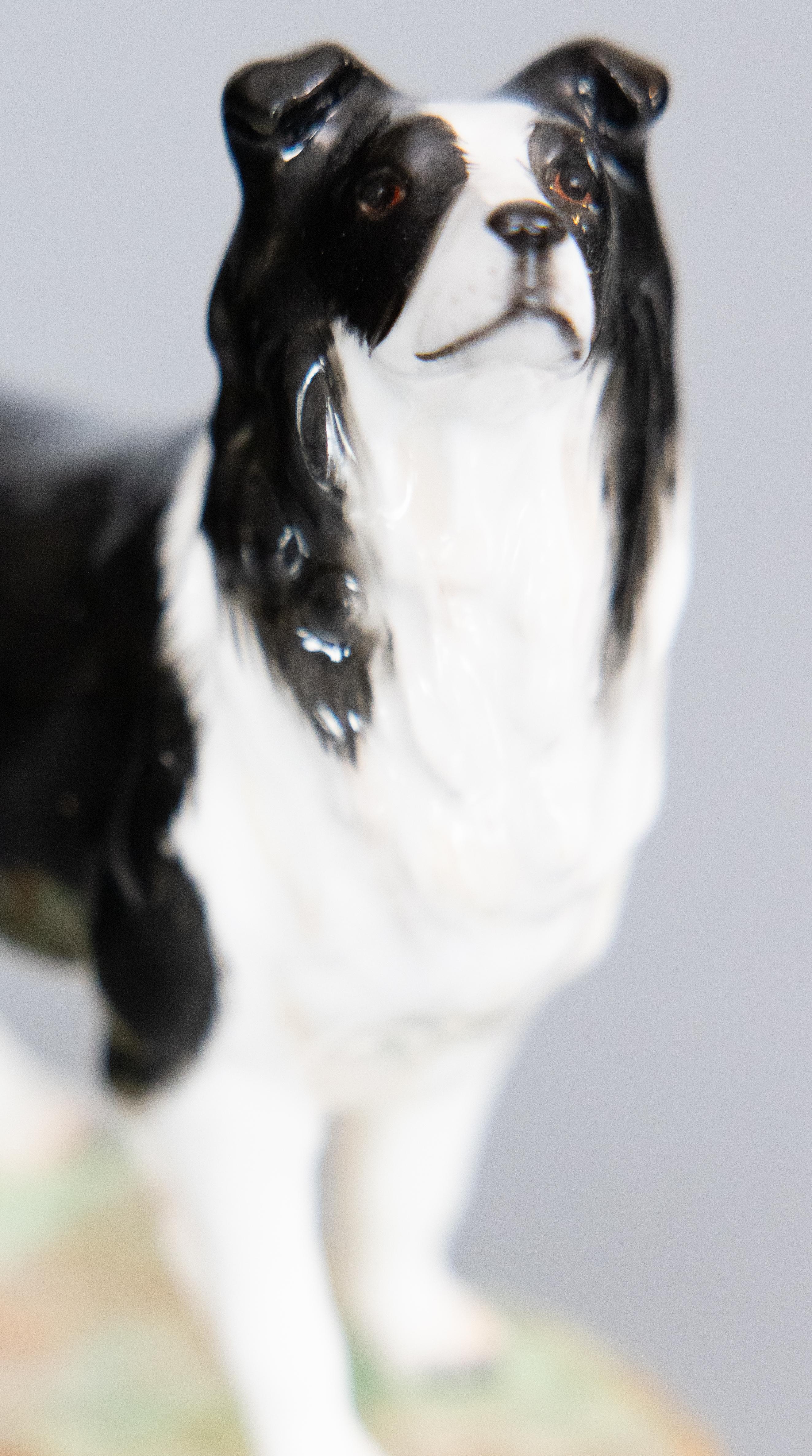 English Royale Stratford Staffordshire Porcelain Border Collie Dog Figurine  For Sale 1