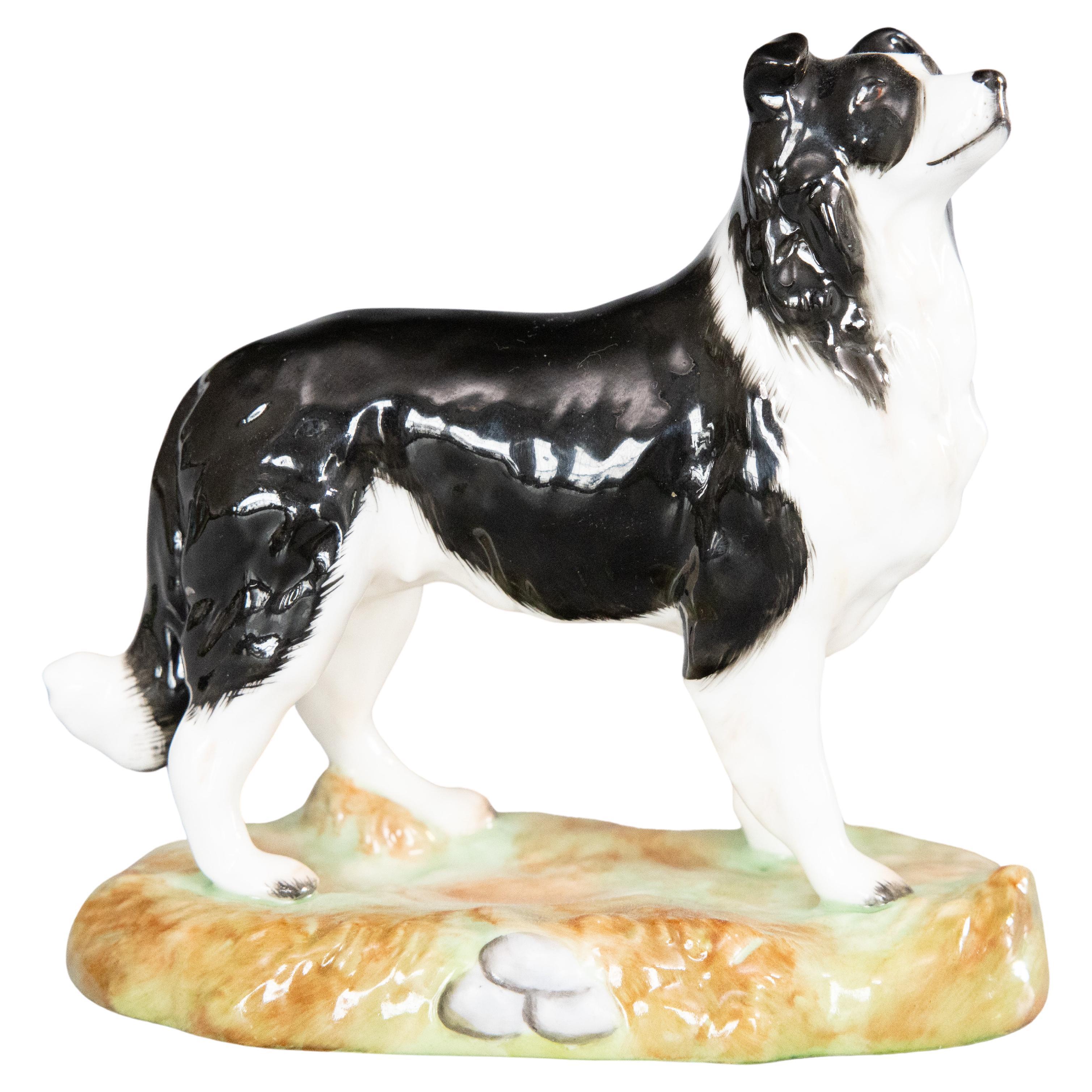 English Royale Stratford Staffordshire Porcelain Border Collie Dog Figurine  For Sale
