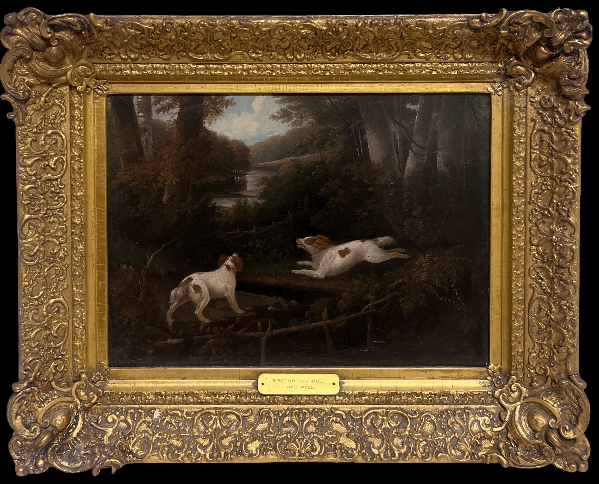 Belle peinture à l'huile Antique British Sporting Art 1850 Spaniels en chasse dans les bois