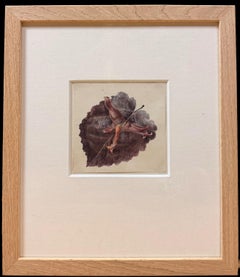 Fine 19th Botanical Watercolour Drawing Female Hazelnut Leaf In Wooden Frame