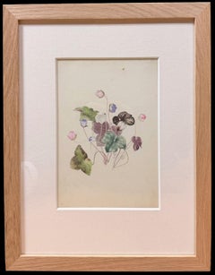 Fine 19th Botanical Watercolour Drawing Of A Sweet Violet Flower Wooden Frame