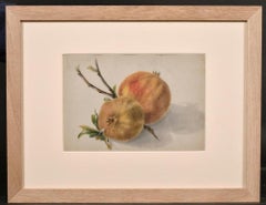 Antique Fine 19th Botanical Watercolour Drawing Of Two Red 
Green Apples With Branch