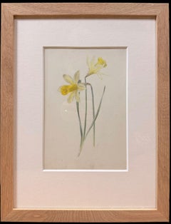 Fine 19th Botanical Watercolour Drawing Of Two Spring Daffodils in Wooden Frame