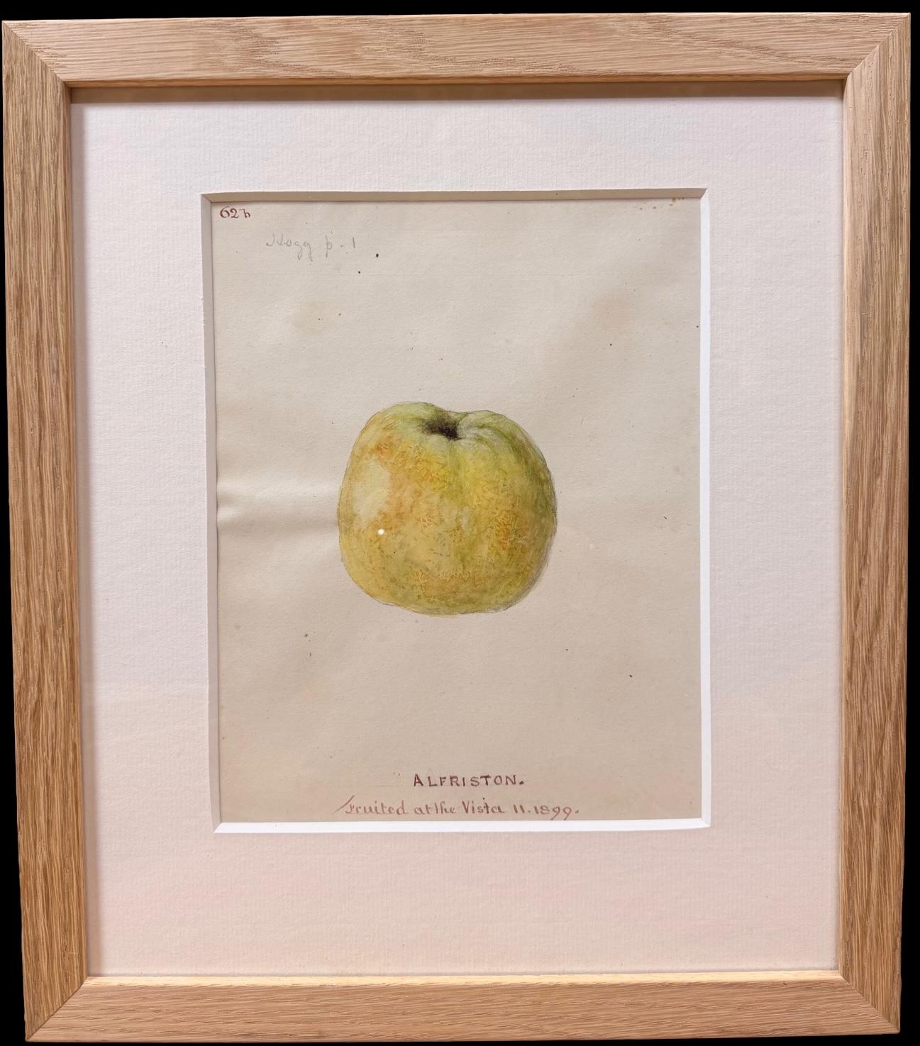 English School, 19th Century Still-Life – Feines 19. botanisches Aquarell eines grünen/langsam brüchigen Apfels in Holzrahmen