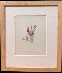 Fine 19th Botanical Watercolour Of A Purple Lousewort Flower In Wooden Frame