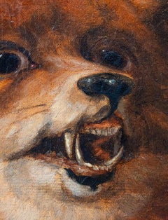 Fox trying to hunt a goldfinch