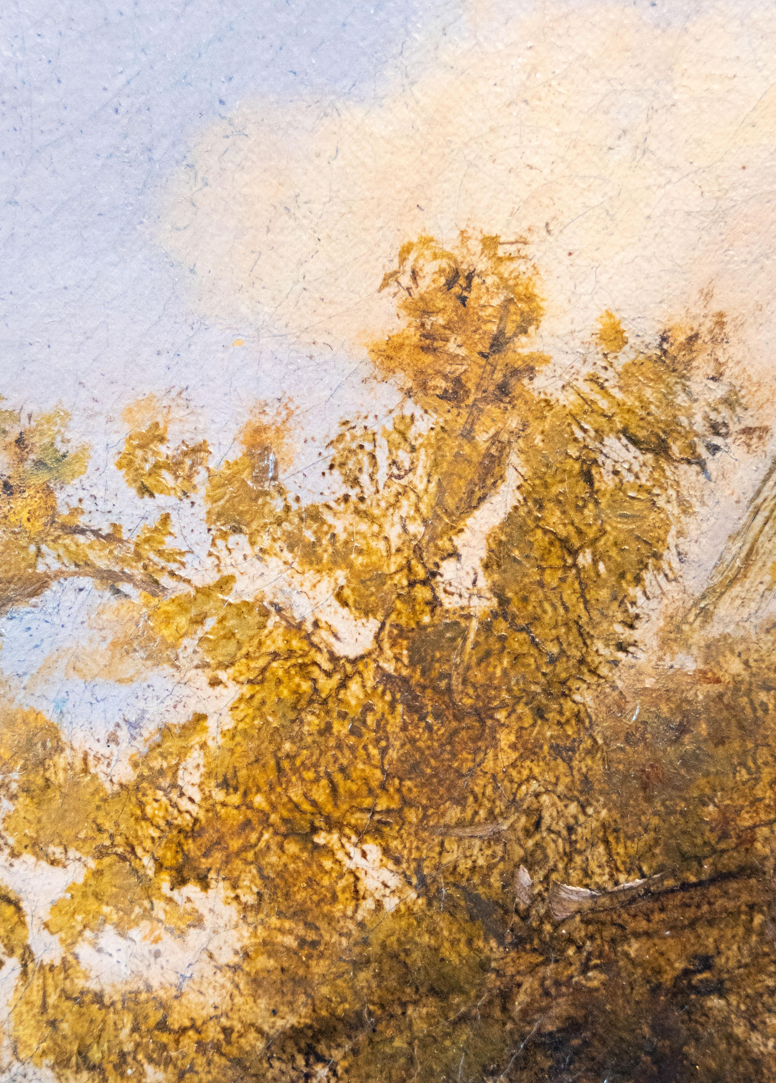 Fuchs bei der Jagd auf einen Stieglitz im Angebot 2