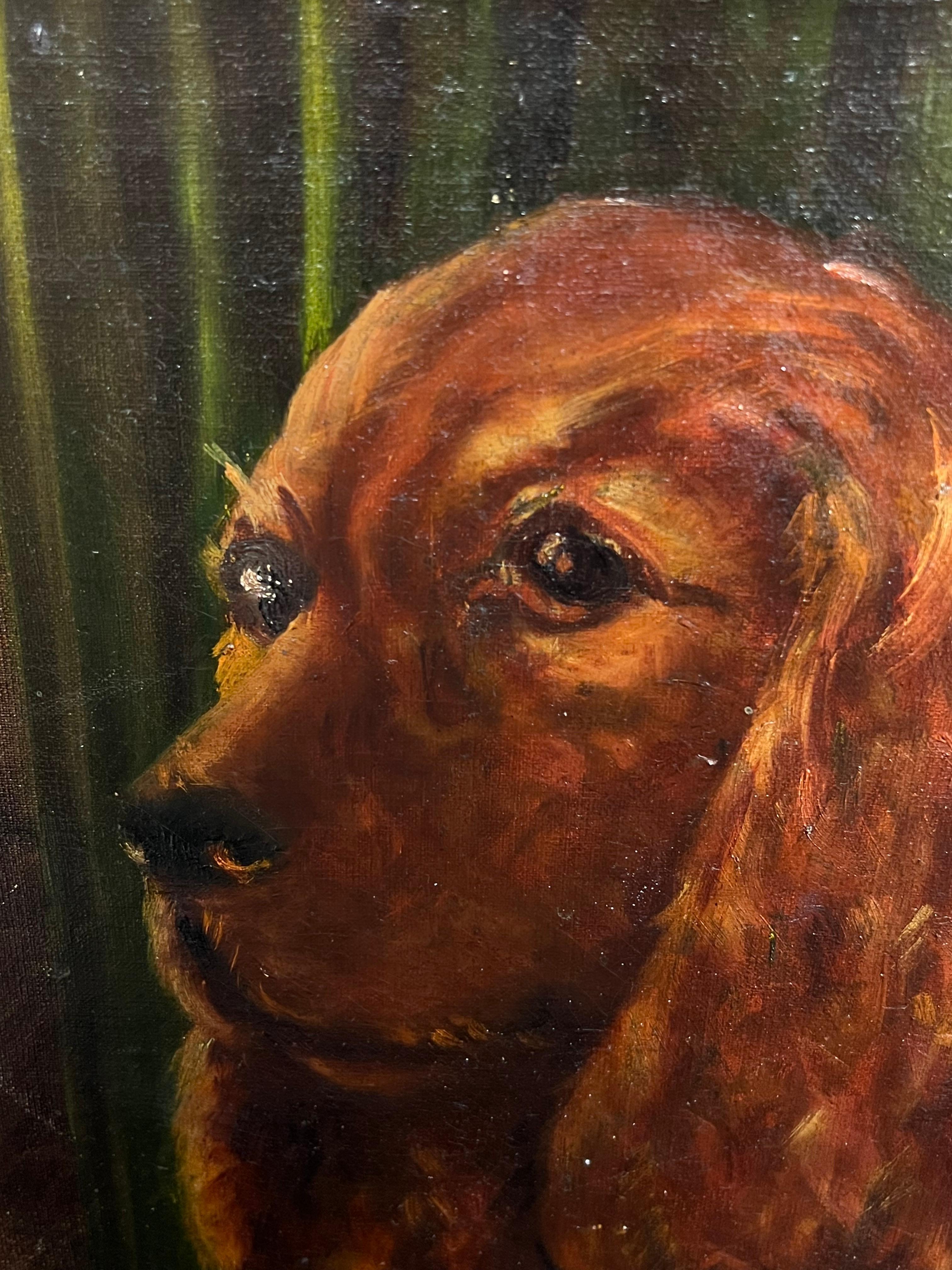 Ritratto del 20° secolo di un cane Setter rosso/ Spaniel dipinto ad olio - Painting Scuola inglese di English School