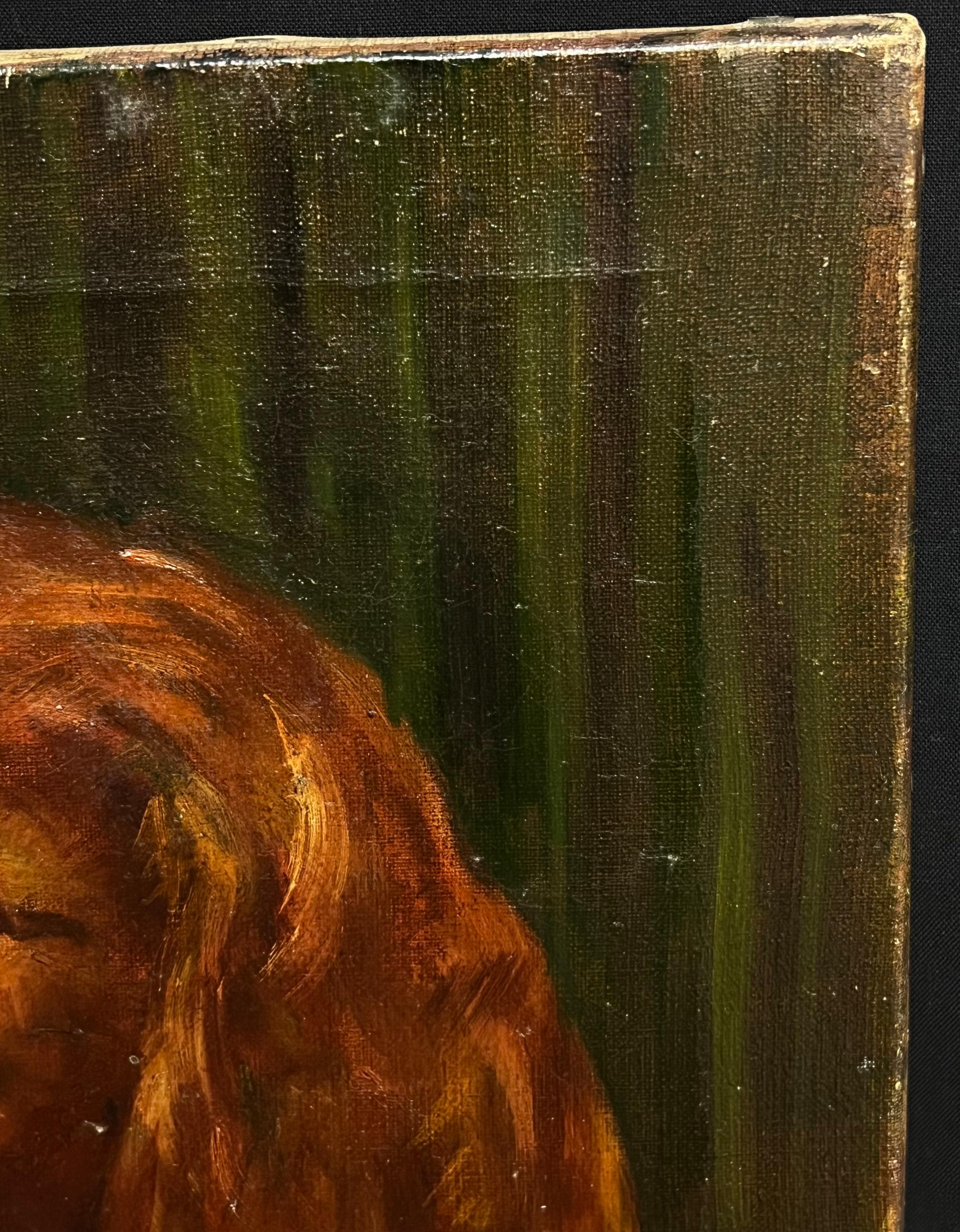Ritratto del 20° secolo di un cane Setter rosso/ Spaniel dipinto ad olio - Animal Painting Marrone di English School