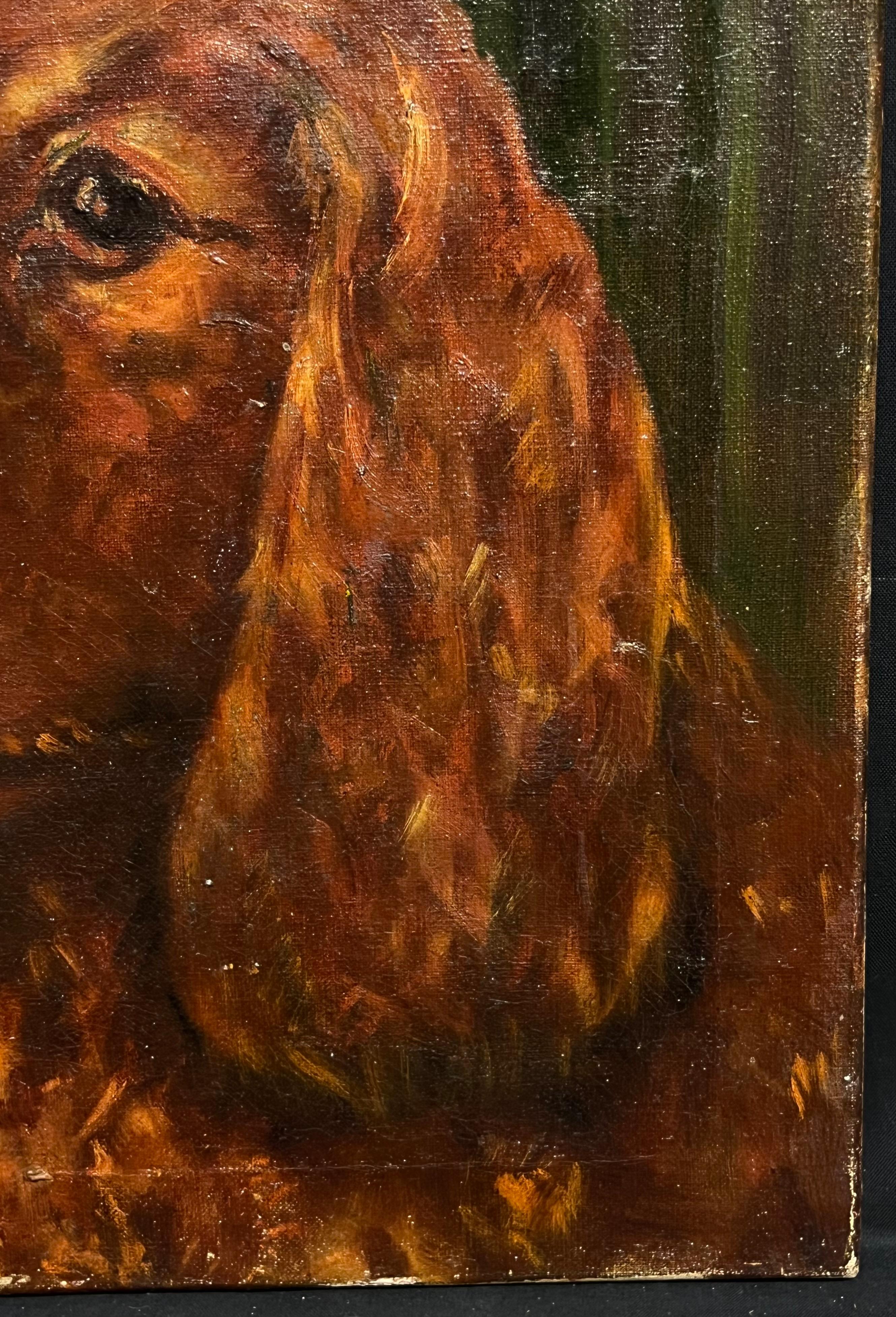 Ritratto di un Setter rosso/Spaniel
English School, metà del XX secolo
olio su tela, senza cornice
Tela: 14 x 12 pollici
Provenienza: collezione privata
Condit: segni di barella visibili e lievi graffi sulla superficie, nel complesso molto solido e